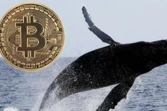 比特币社区正在创建一个全新的支付和金融网络