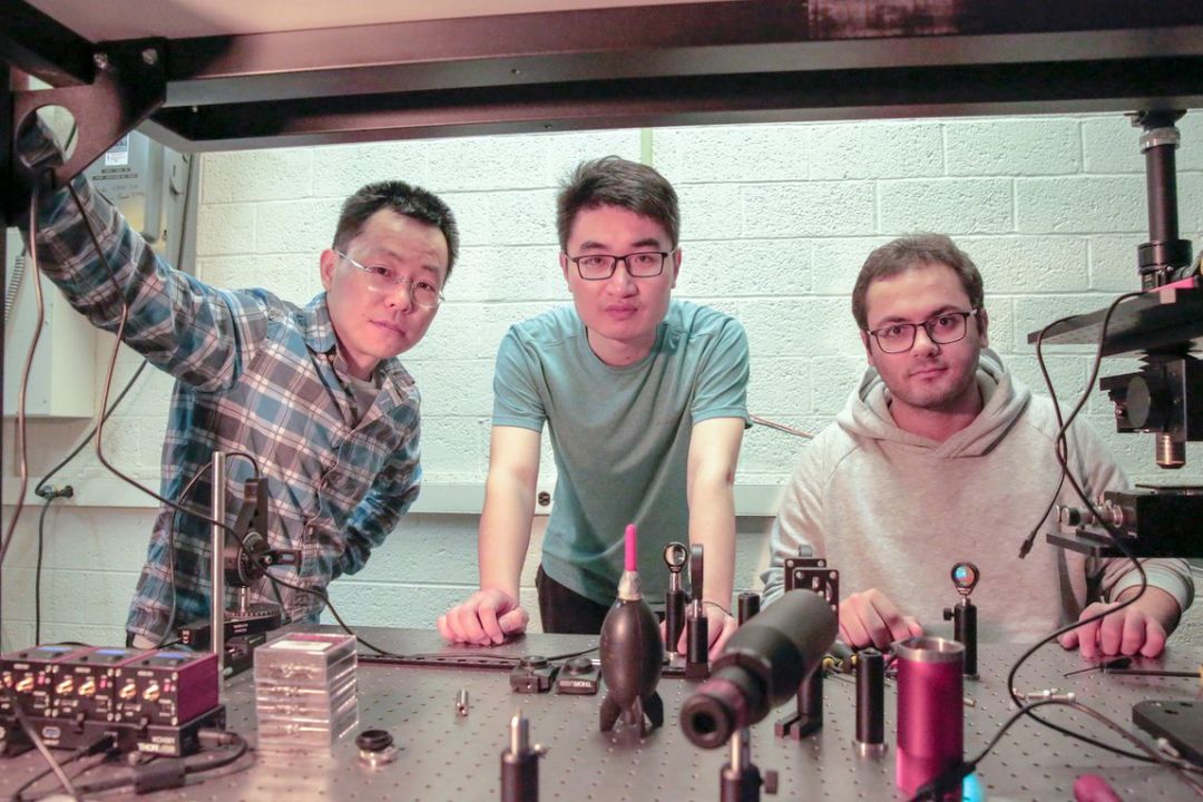 长春网站建设_长春网站制作_长春网站设计_网站建设_网站制作_网站设计_长春app开发 _长春app制作_长春小程序开发_长春微信开发_长春商标注册