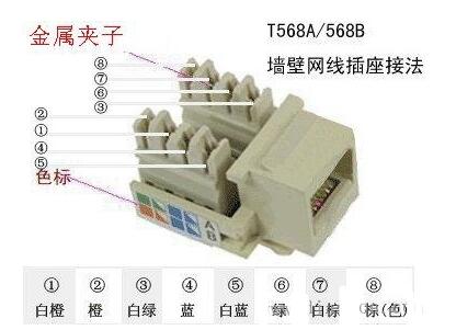 网线面板如何接线_网线面板接法图解