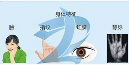 生物识别技术存在什么利与弊