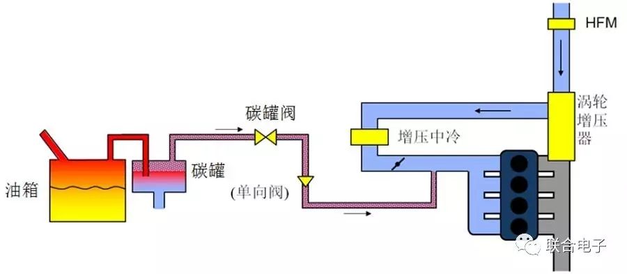 蒸发器