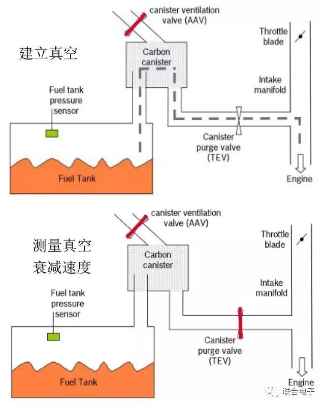 蒸发器