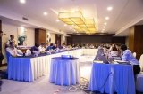 “下一代三维显示技术及裸眼3D显示器件子像素排列...