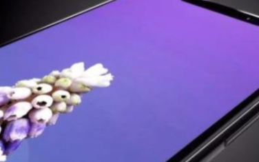 新iPhone的无线充电反向快充成为了焦点