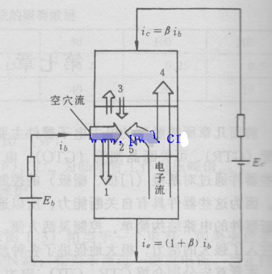 電力晶體管分類及圖形符號