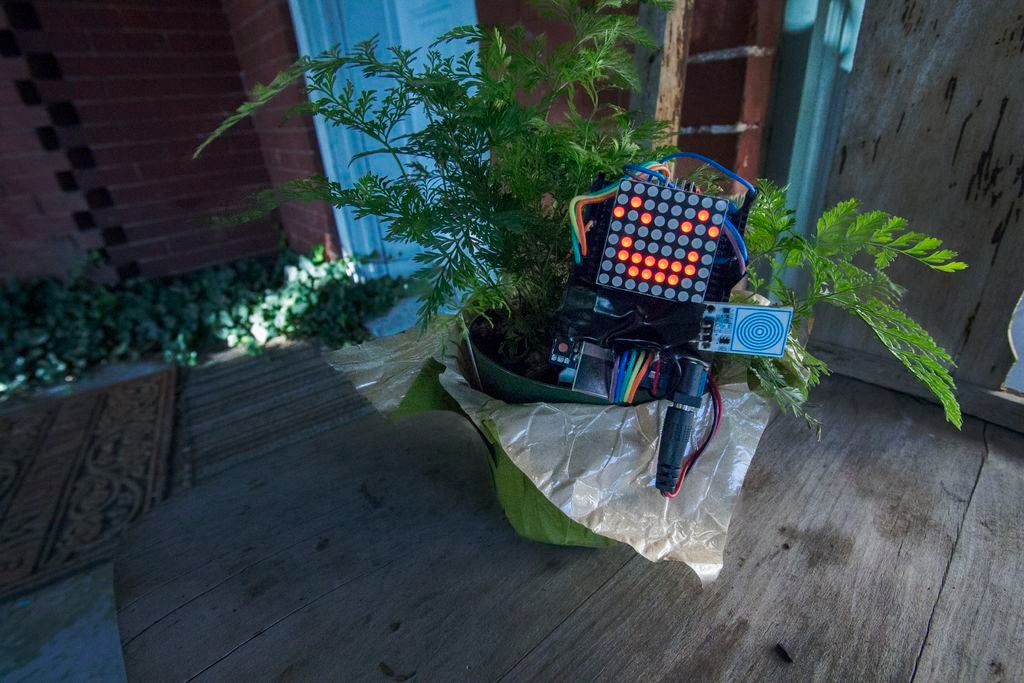 如何实现植物生长可视化