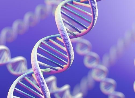 DNA存储器功能强大可大规模永久的保存
