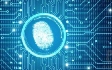 Synaptics将发布全新的触控指纹传感器