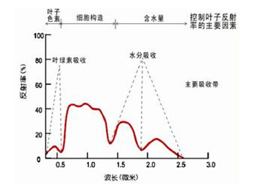 无人机搭载多光谱相机如何来检测植被