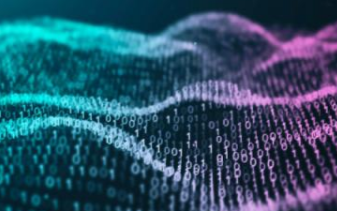 基于嵌入式中央处理单元(CPU)的自定义指令