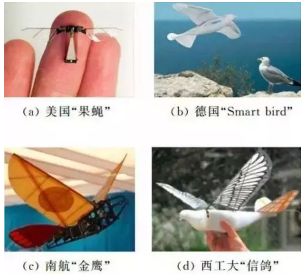 仿鸟无人机具备怎样的威力