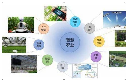 智慧农业开始成为流行趋势了吗