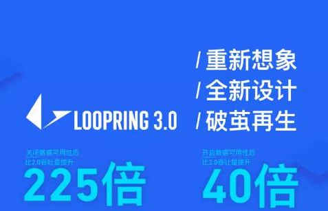 零知识证明技术如何在路印3.0协议中运用