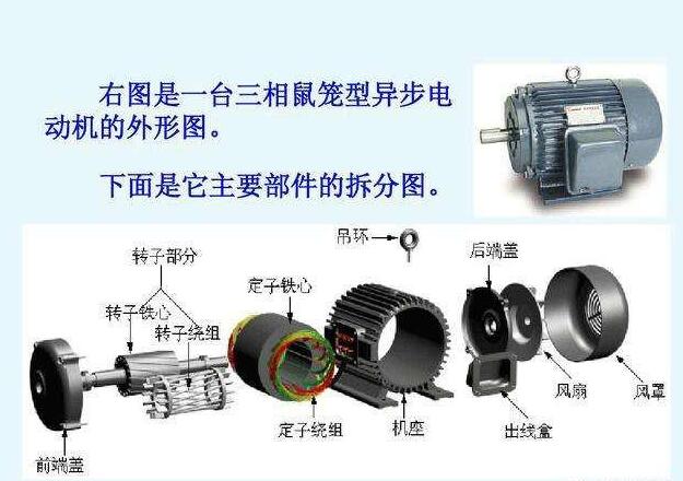 鼠笼式电动机的启动方式比较
