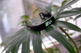 HonorBand5是否值得买