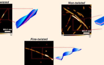 科学家研发出可穿透细胞膜的药物递送纳米材料