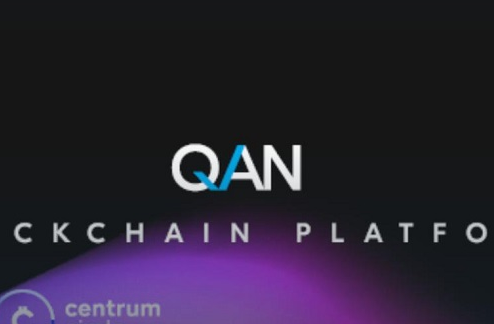 QAN将可以解决现有区块链中的许多困难挑战