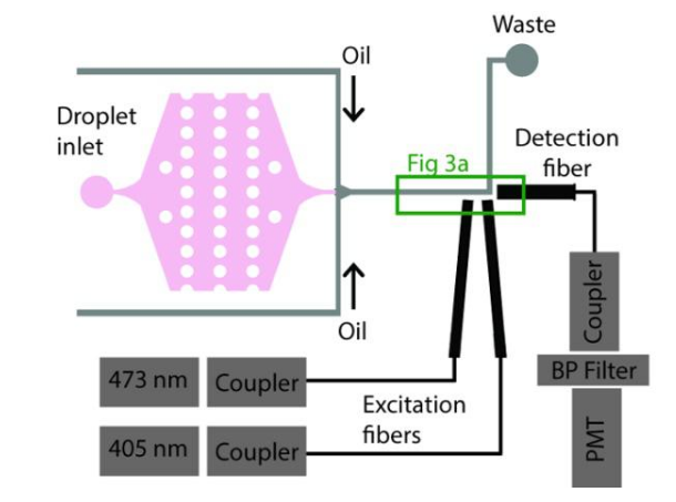 光纤嵌入式微流控芯片的制作过程是怎样的