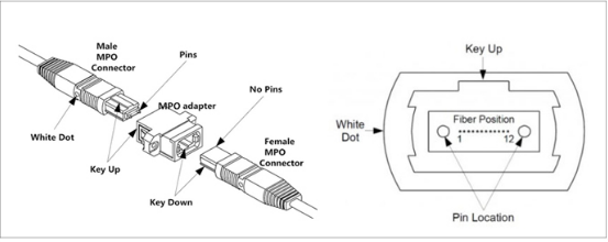MPO光纤跳线连接器的组成结构以及极性分类