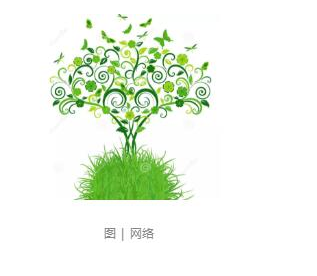 如何存储Merkle树