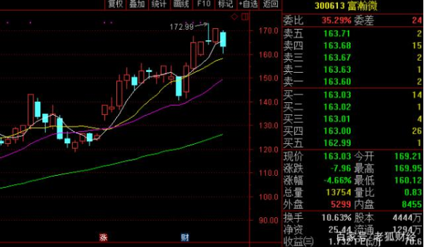 一只视频监控领域的小龙头——富瀚微