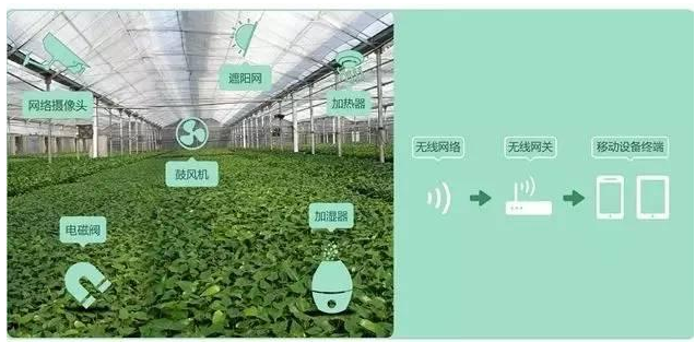 物联网监控系统应用是怎样的