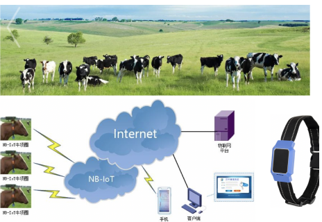 物联网时代下的NB-IoT如何成为主流技术