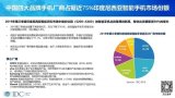 中国四个厂商占据印尼智能手机市场份额75%