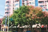 台北LED路灯冲击生态?