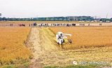 上海首个“5G+智慧农机”示范应用场景