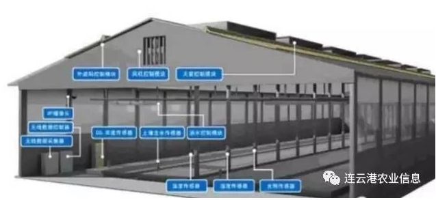 农业物联网中你掌握了哪一些关键的技术