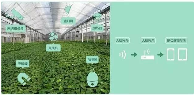 物联网监控系统是如何应用的
