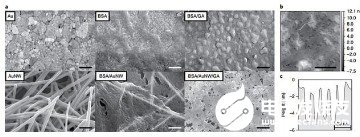 傳感器生物方面新的突破