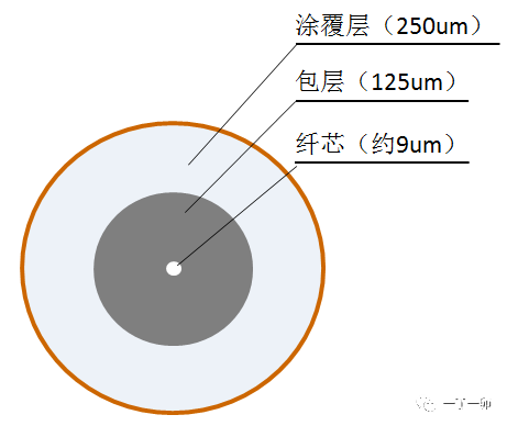 多芯光纖與緊套光纖是什么？