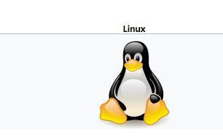 為什么Linus不用C井語言寫Linux系統