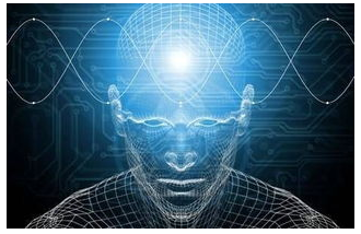 网络运维中的组件应该怎样选择