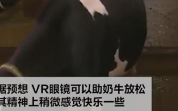VR技术新应用,给奶牛戴上VR眼镜
