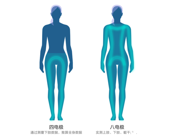 华为智能体脂秤2 Pro正式开售可以识别出各种身体数据