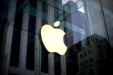 苹果将推出iPhone SE2新机?命名还不确定