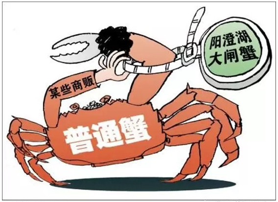 追本溯源可以用RFID技术实现吗