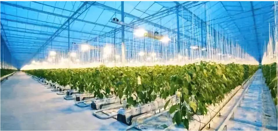 人工智能与农业领域怎样深度的融大发快三如何追和值合