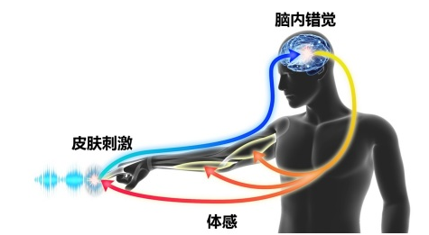 村田制作所:关于收购研究“3D触力觉技术”的MI...