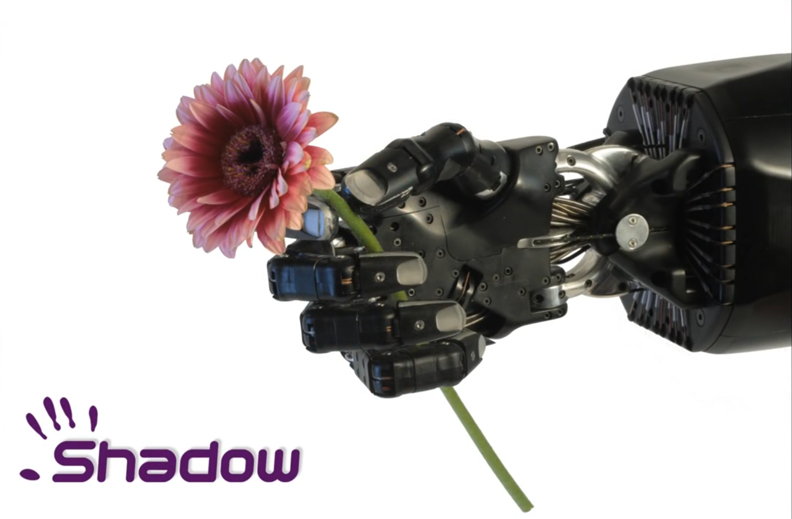 英国Shadow Robot公司Shadow 灵...