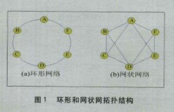 从多个方面对网络结构环形网和网状网进行对比分析
