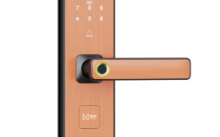 杨格锁业贝塔9号(T9)简介