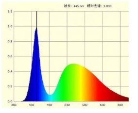 LED是否会成为视力阻碍