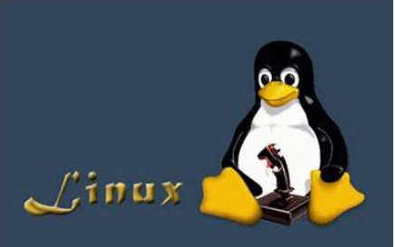 Linux虚拟机联网会出现那些问题详细资料讲解