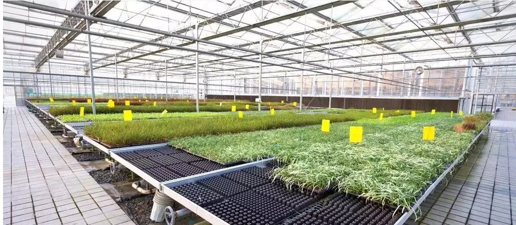 物联网应用在农业上有什么厉害的地方