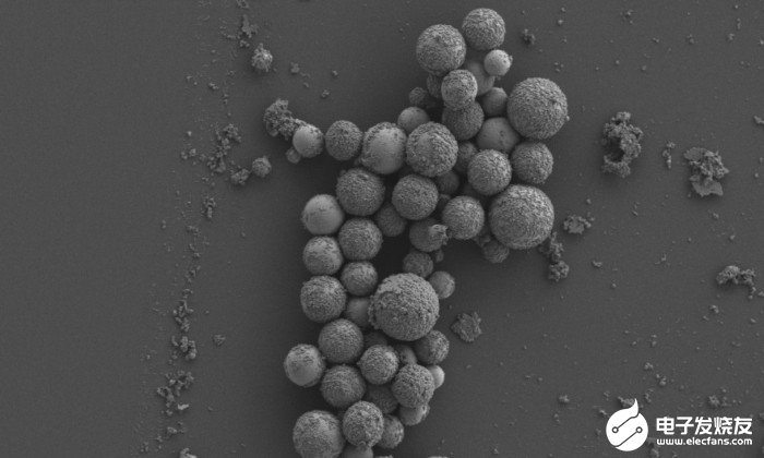 磁性纳米颗粒可以直接杀死超级细菌
