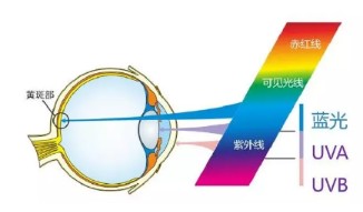 LED是否会成为视力阻碍